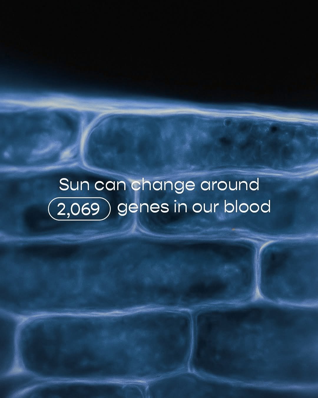 Sun can change around 2,069 genes in our blood | Nordes Official